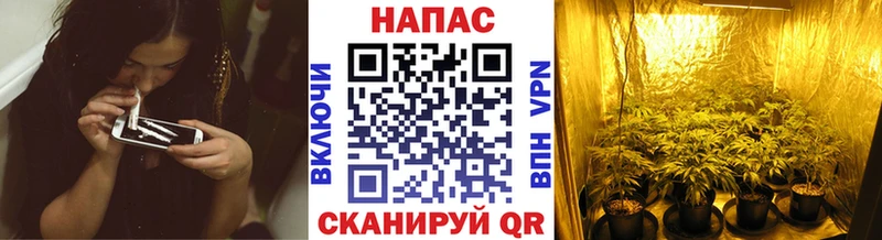 МАРИХУАНА Жирновск