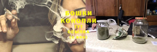 ешки Дмитровск