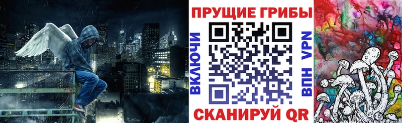 продажа наркотиков  Жирновск  Псилоцибиновые грибы мухоморы 